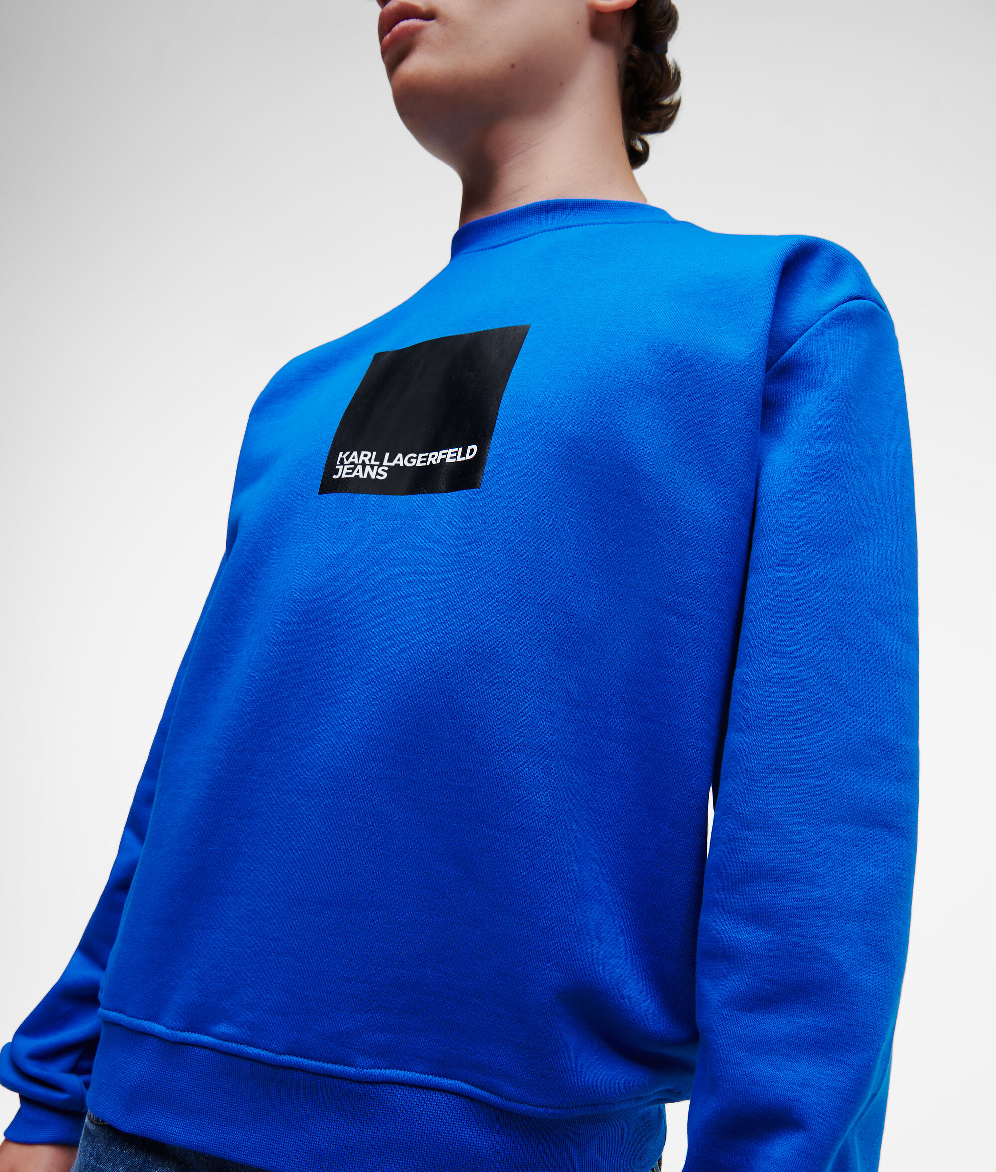 (image for) Secure KLJ SWEATSHIRT